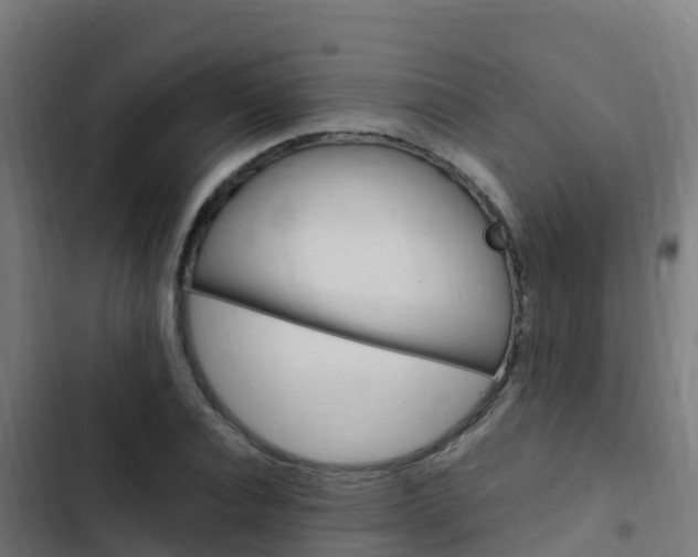 X0000103430928200809121033