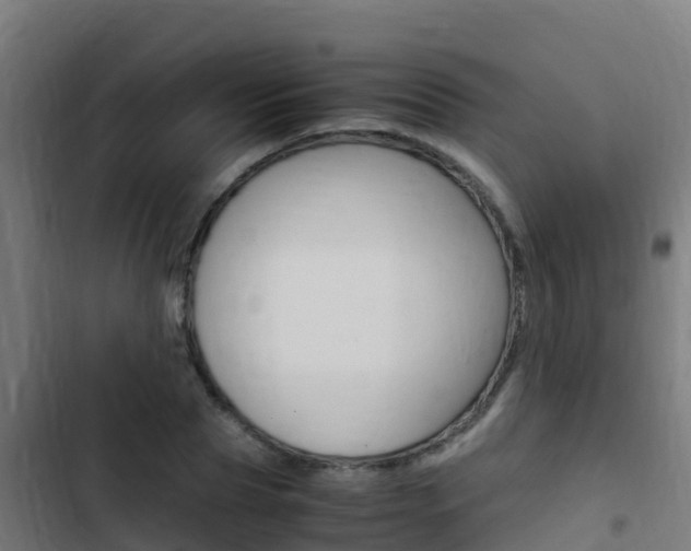 X0000103430929200809121033