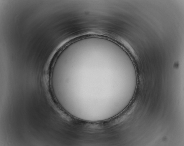 X0000103430931200809121033