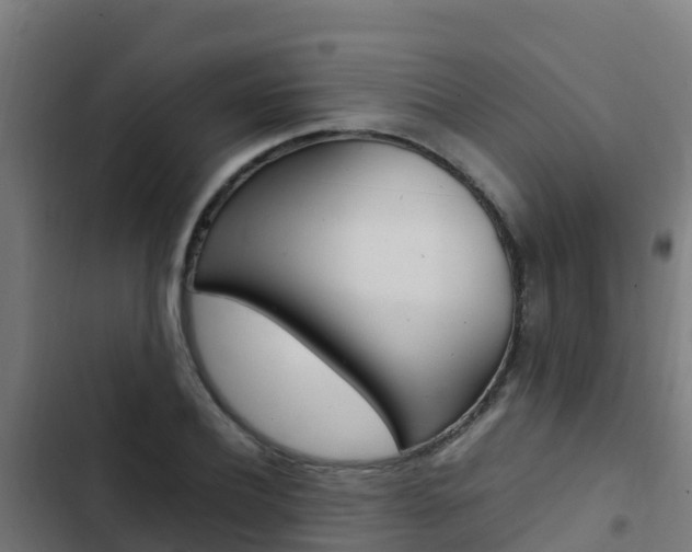X0000103430932200809121033