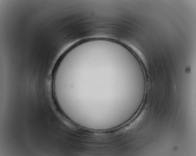 X0000103430933200809121033