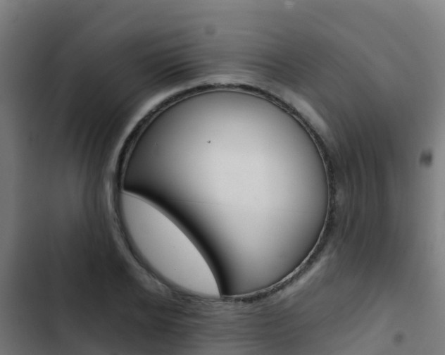 X0000103430934200809121033