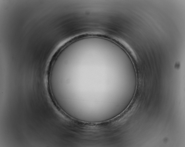 X0000103430935200809121033