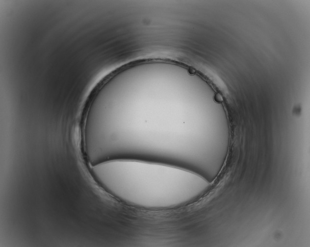 X0000103430936200809121033