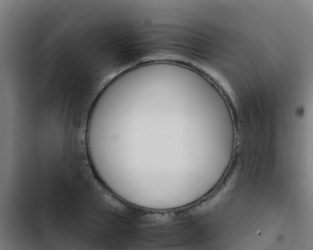 X0000103430937200809121033