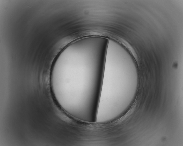 X0000103430938200809121034