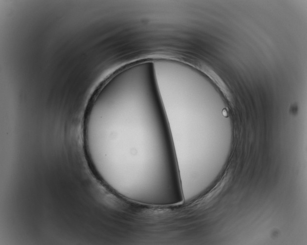 X0000103430939200809121034