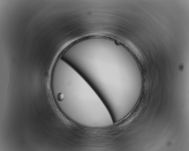 X0000103430940200809121034