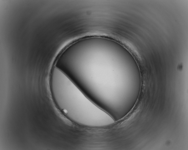 X0000103430942200809121034