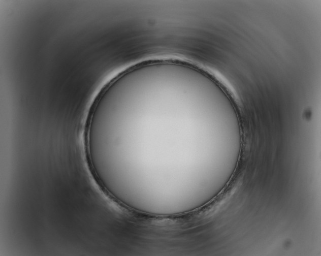X0000103430943200809121034