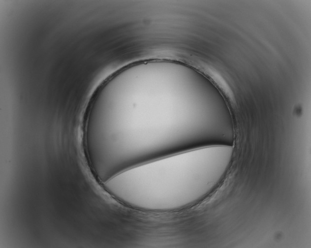 X0000103430944200809121034