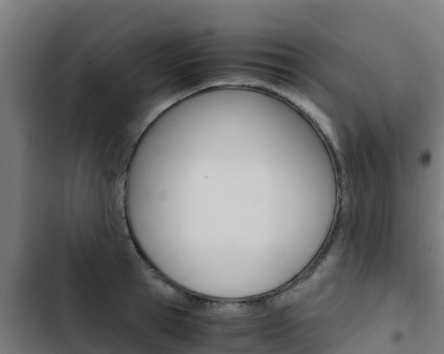X0000103430945200809121034