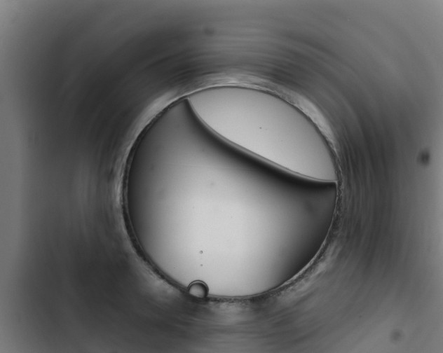 X0000103430946200809121034