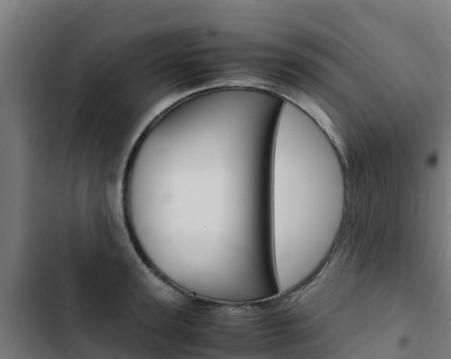 X0000103430947200809121034