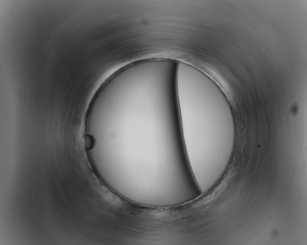 X0000103430948200809121034