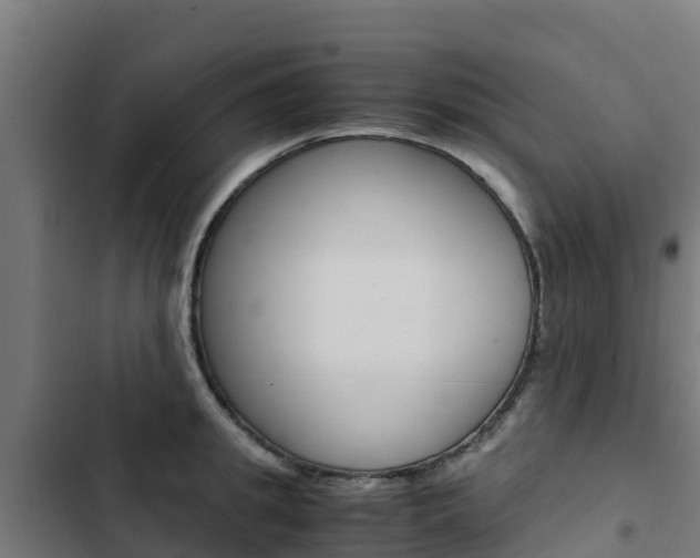 X0000103430949200809121034