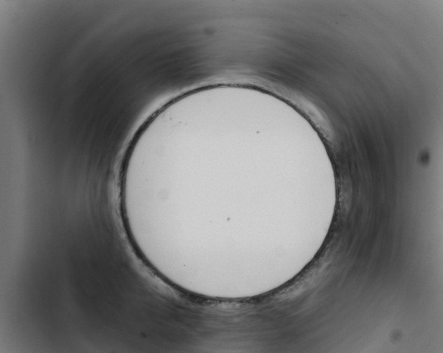 X0000103430950200809121034