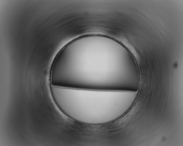 X0000103430951200809121034