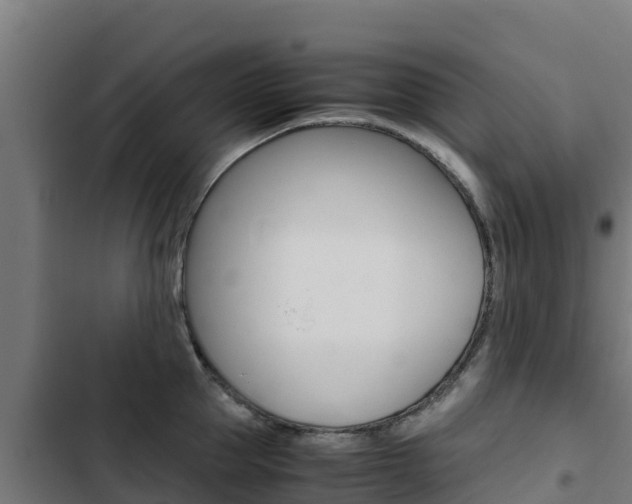 X0000103430953200809121034