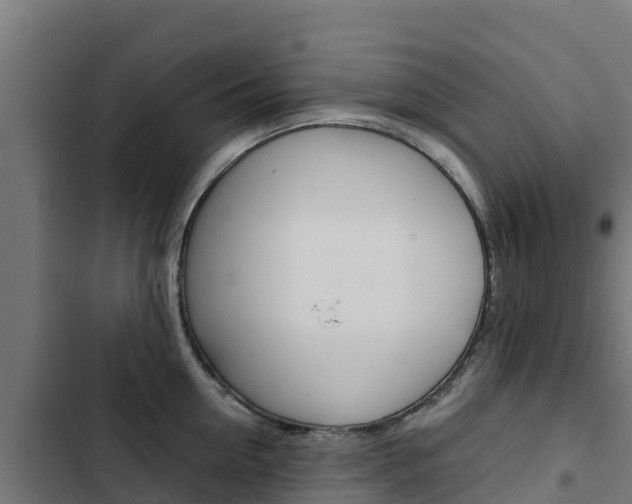 X0000103430954200809121034