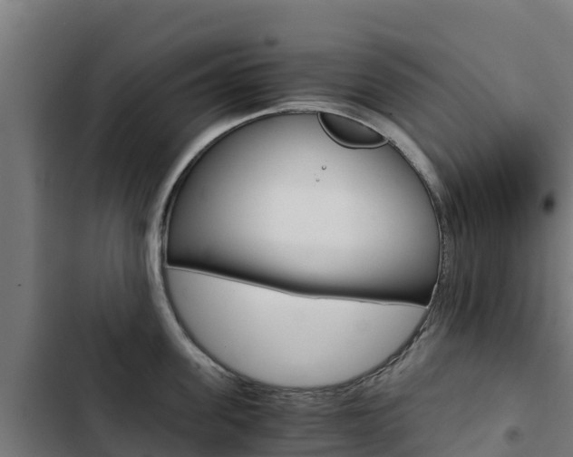 X0000103430955200809121034
