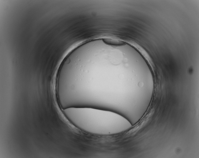 X0000103430957200809121034