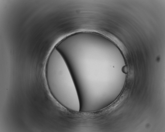 X0000103430958200809121034