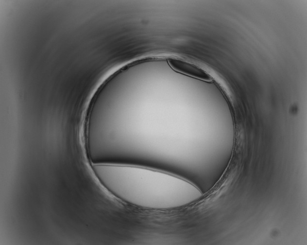 X0000103430959200809121034