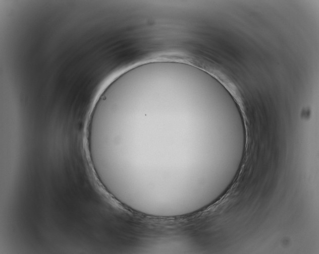 X0000103430960200809121034