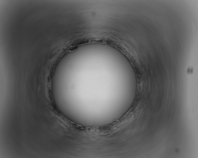 X0000103430961200809121033
