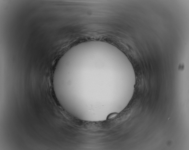 X0000103430962200809121033