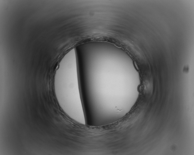 X0000103430964200809121033