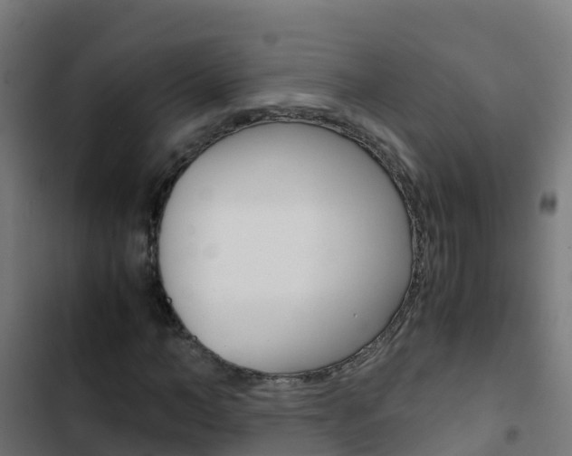 X0000103430966200809121033