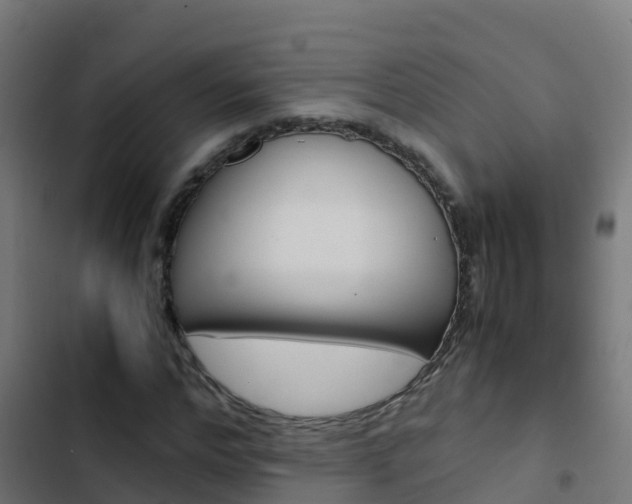 X0000103430968200809121033