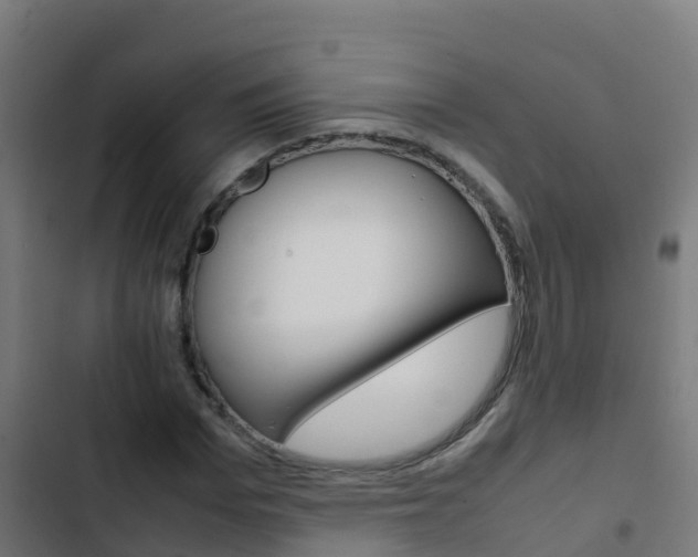 X0000103430969200809121033