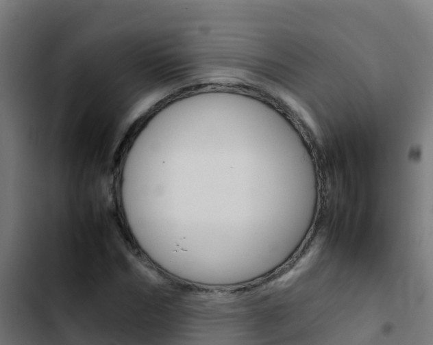 X0000103430970200809121033