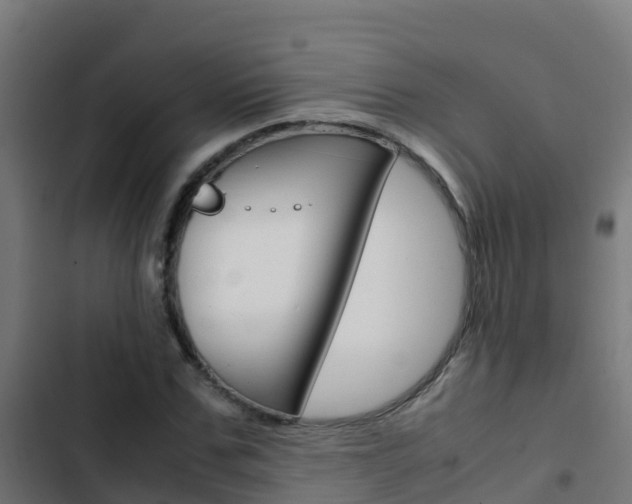 X0000103430971200809121033