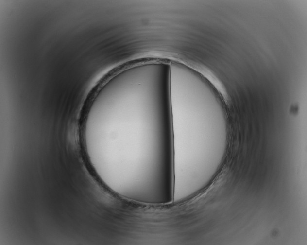X0000103430972200809121033
