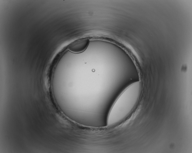 X0000103430973200809121033