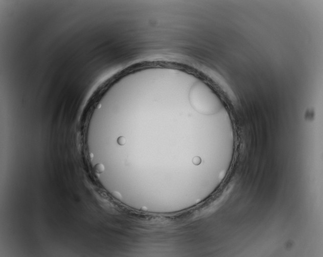 X0000103430974200809121033