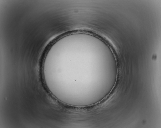 X0000103430975200809121033