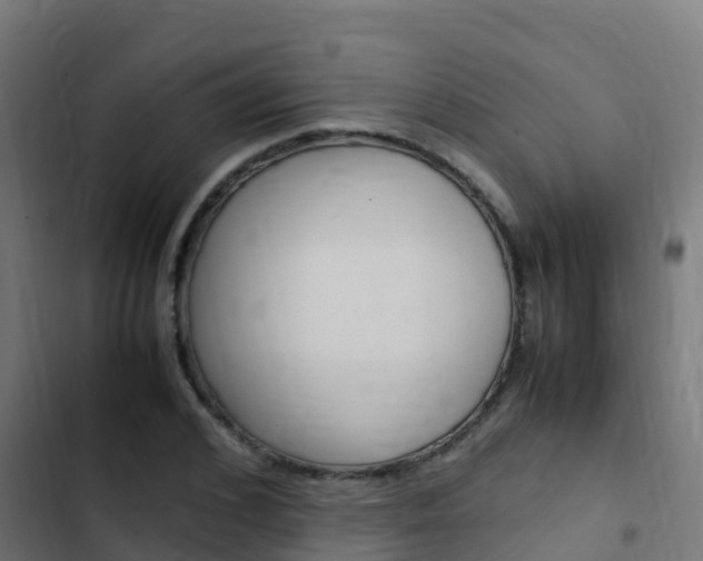 X0000103430976200809121033