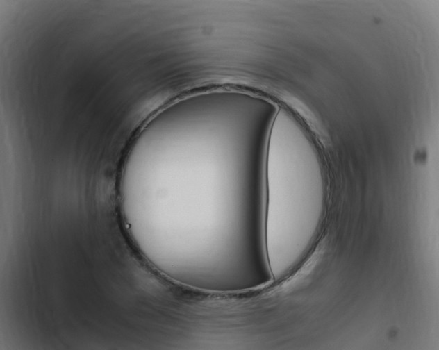 X0000103430977200809121033
