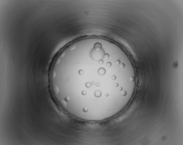 X0000103430978200809121033