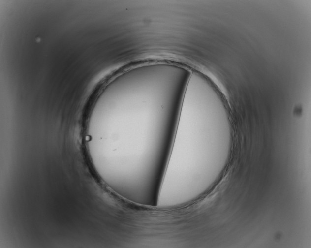 X0000103430979200809121033
