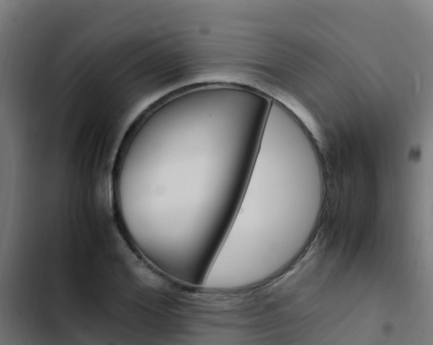 X0000103430980200809121033
