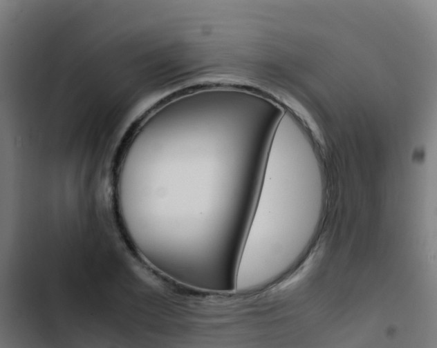 X0000103430981200809121033