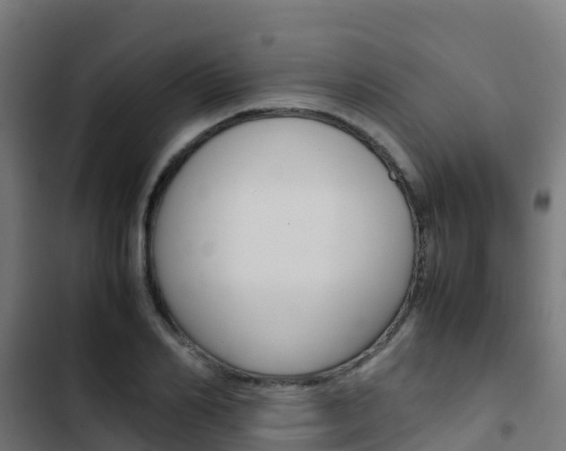 X0000103430982200809121033
