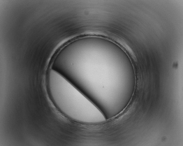 X0000103430984200809121033
