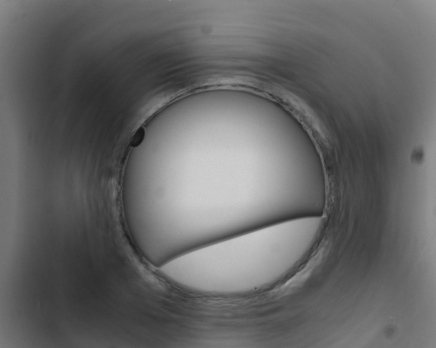 X0000103430985200809121033